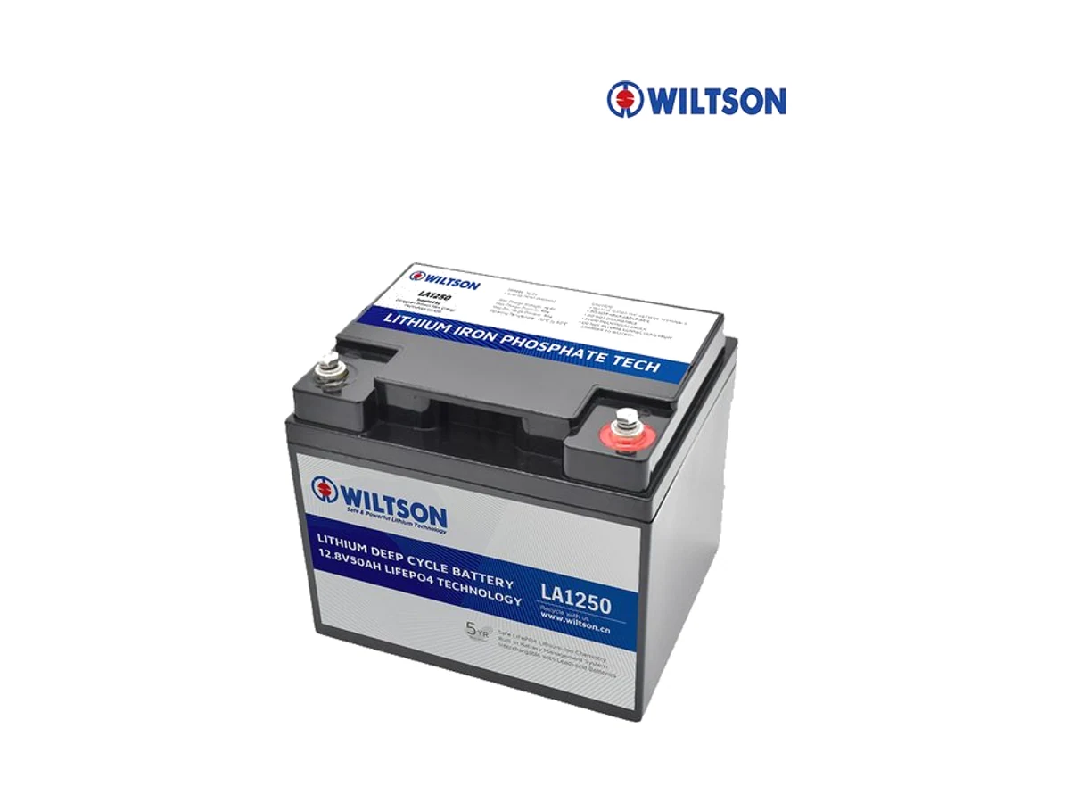 12V50AH -40°C Low-Temperature LiFePO4 Battery Pack — Wiltson Energy